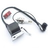 Replace Ignition Coil & On Off Stop Switch & Spark