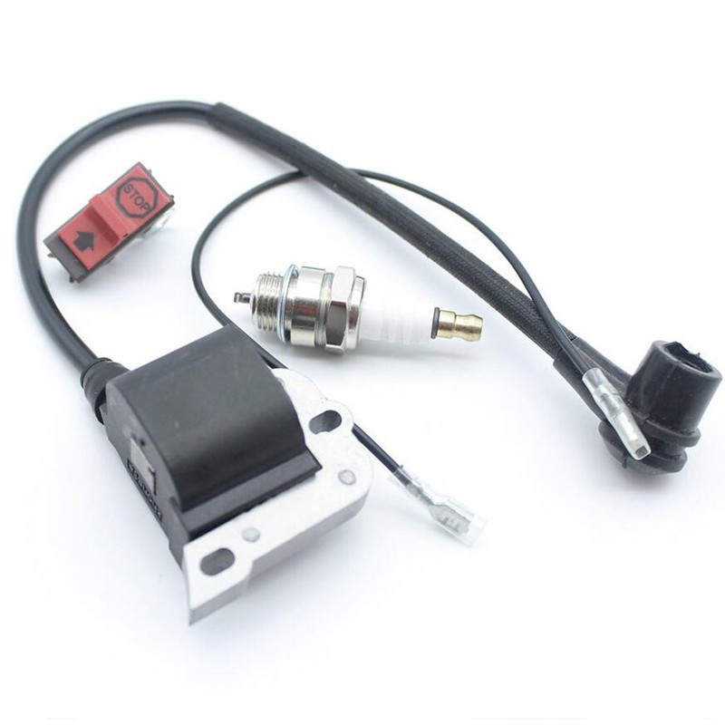 Replace Ignition Coil & On Off Stop Switch & Spark