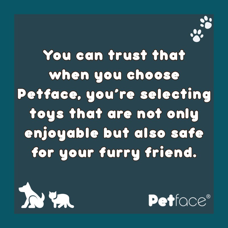 Petface Toyz Rope Ball Tugger Dog Toy