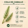 Shampoo Secreto Herbal con Extractos Naturales de Romero y Cola
