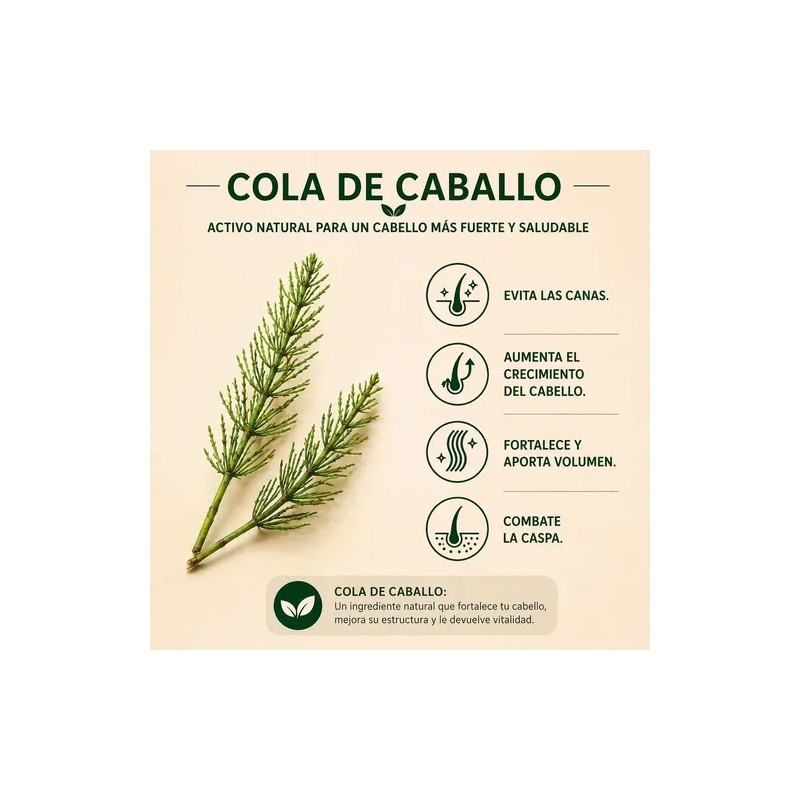 Shampoo Secreto Herbal con Extractos Naturales de Romero y Cola