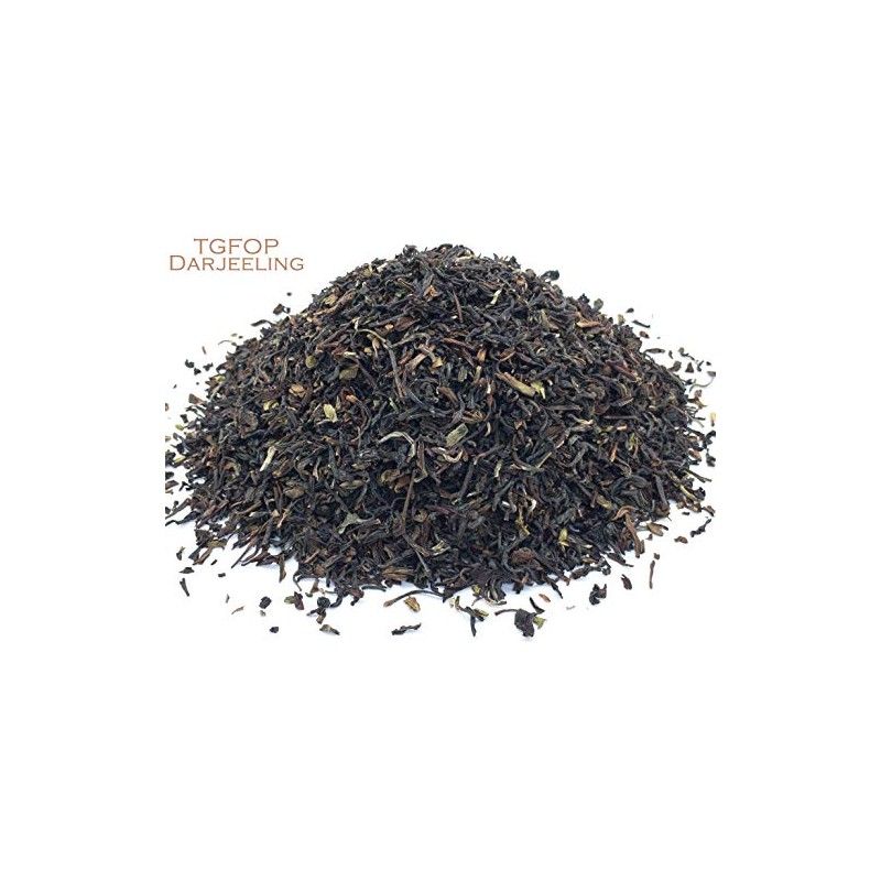 Sarsaparilla Root and Black Tea Herbal Infusion (TGFOP Darjeeling -