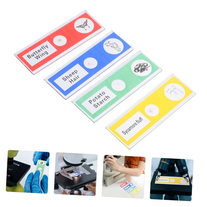 Hohopeti 12 pcs Prepared Microscope Slides for Educational Science Classroom