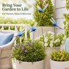 12-Pack Blue Dragonfly Garden Decorations – Realistic Clip-On Outdoor Accents