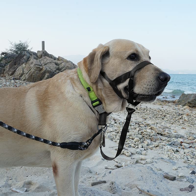 WUDQIJI Training Harness Dog Halter Pet Muzzle for Dogs Muzzle