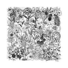 50PCS Transparent Black and White Plant Stickers for Water Bottle,Car,Bike, Skateboard,Scrapbook,Laptop,Luggage,Cute Flower Waterproof Vinyl Decal,Teens Adult Sticker,Cool Aesthetic Graffiti Sticker