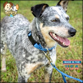 Country Brook Petz - Deluxe Blue Bandana Dog Collar - Made in The U.S.A. - Country and Western Collection Featuring Rugged Designs (1 Inch, Medium)