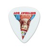 Jesus Birthday Boy Novelty Guitar Picks Medium Gauge - Set