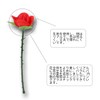 Coollooda Flower Magic Roses, Surprise Magic Set, Set of 5,