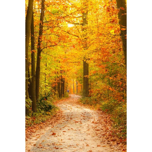 Windowpix 24x36 Inch Decorative Static Cling Window Film Autumn in