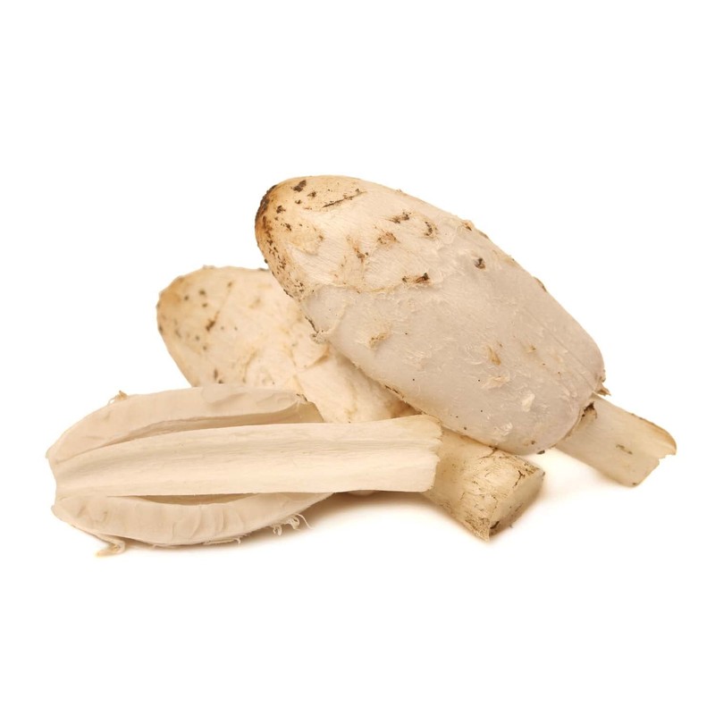 Pilze Wohlrab - Coprinus Extract Capsules Organic, Pure Schopftintling Vital