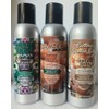 Smoke Odor Exterminator 198 gm/ 7 oz Large Spray Assorted