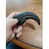 Deinonychus antirrhopus Killing Claw Fossil Replica-Dinosa