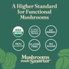 Four Sigmatic Chaga Mushroom Elixir - USDA Organic Chaga Mushroom