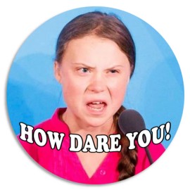 Kiwi Gifts How Dare You! Greta Thunberg Angry Face Meme - 25 Pack Circle Stickers 3 Inch
