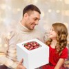 KoberrLi 2 Pack Cake Boxes with Ribbons 12x12x12 inch Tall