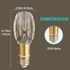 ELGOBST Unique Decorative Light Bulbs, 6500K Daylight White Light LED