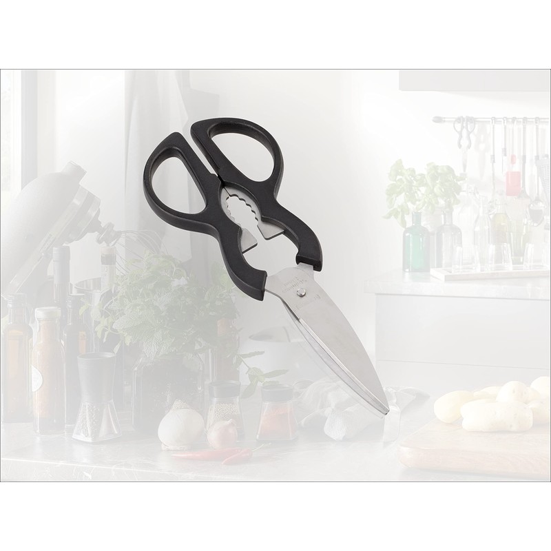 Leifheit Küchenschere mit scharfen Edelstahlklingen, Haushaltsschere 25 cm mit ergonomischen