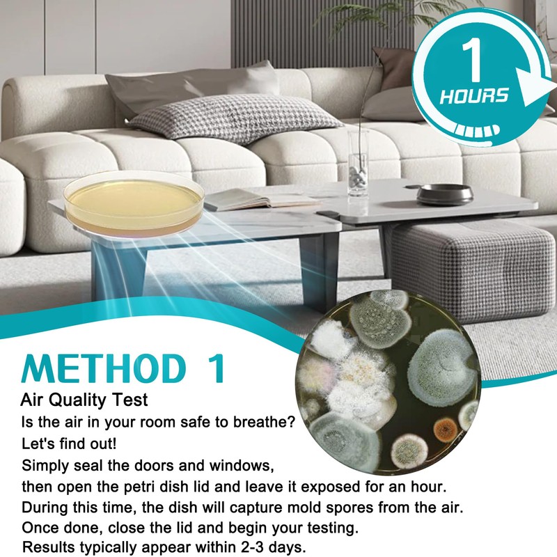 Mold Test Kit for Home 12 Simple Detection Tests, HVAC