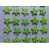 12pc Micro Miniature Star Fruit, Resin Flatback, Fruit, Cabochon, Flat