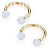PEAKLINK Horseshoe Nose Ring Titanium Septum Jewelry 16G Horseshoe Lip