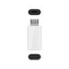Goobay USB 2.0 Hi-Speed Adapter - White - USB CTM
