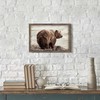 Brown Bear Framed Wall Art - Wildlife Picture Wild Animals