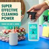 Aunt Fannie's All Purpose Household Cleaner, Multi-surface Spray, Powered by