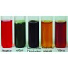 Medasa Bacteria Test Quick Test 4-6 Hours Water Test 5-in-1