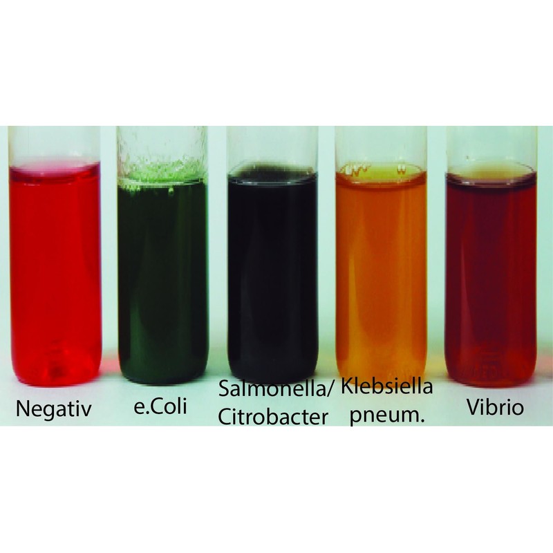 Medasa Bacteria Test Quick Test 4-6 Hours Water Test 5-in-1