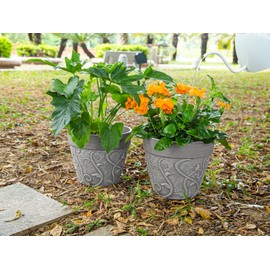 Plant Pots Indoor with Drainage & Saucer, 2Pack 7/8 inch Flower Pots Outdoor Planters for Indoor Plants Garden Home Decor Cactus Succulent, Strong Resin Imitation Terracotta, Vine Pattern Embossed