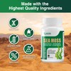 Sea Moss Black Seed Oil Ashwagandha Ginger Supplement - Irish