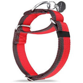 Dazzber Reflective Strong Heavy Duty Dog Lead Rope Solid Colour Nylon Strap Dog Lead with Secure Lock for Small/Medium/Large Dogs (Red & Grey, Medium, 4 cm Wide)
