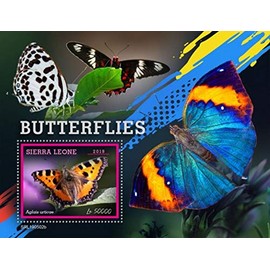 Sierra Leone - 2019 Butterflies on Stamps - Stamp Souvenir Sheet - SRL190502b