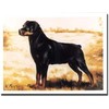 Rottweiler Profile Notecard Set - 12 Note Cards by Ruth