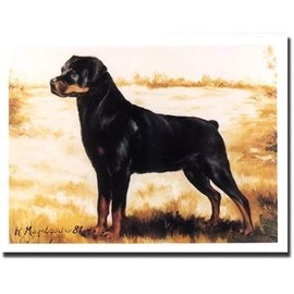 Rottweiler Profile Notecard Set - 12 Note Cards by Ruth Maystead (ROT-2)