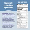 Ultima Replenisher Electrolyte Hydration Powder, Blue Raspberry, 30 Serving Canister