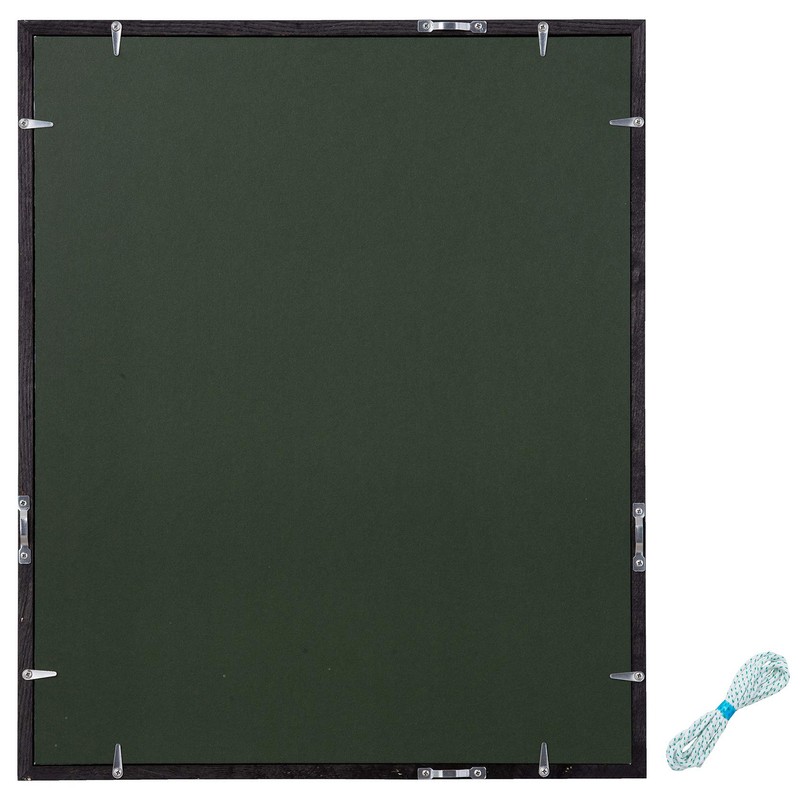 Larson Juhl Nippon D816 Picture Frame, black