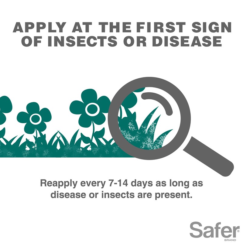 Safer Brand 5182-6 Neem Oil Concentrate Insecticide, Miticide, Fungicide for