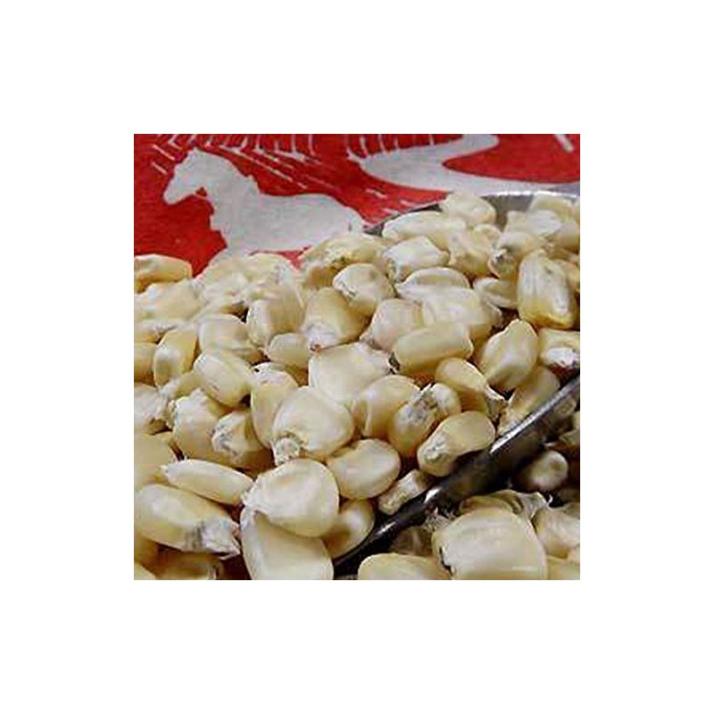 Eureka Ensilage Dent Corn - 1/2 OZ ~75 Seeds -