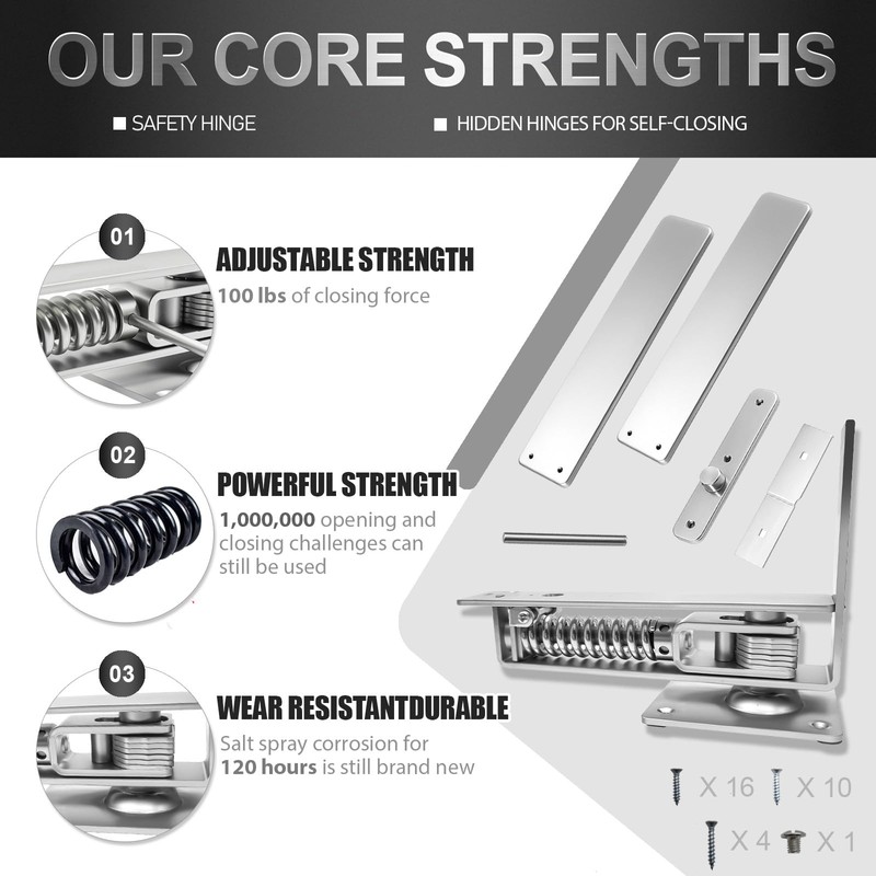Loyerfor Double Action Spring Hinges Swinging Door Hinge Pivot Hinge
