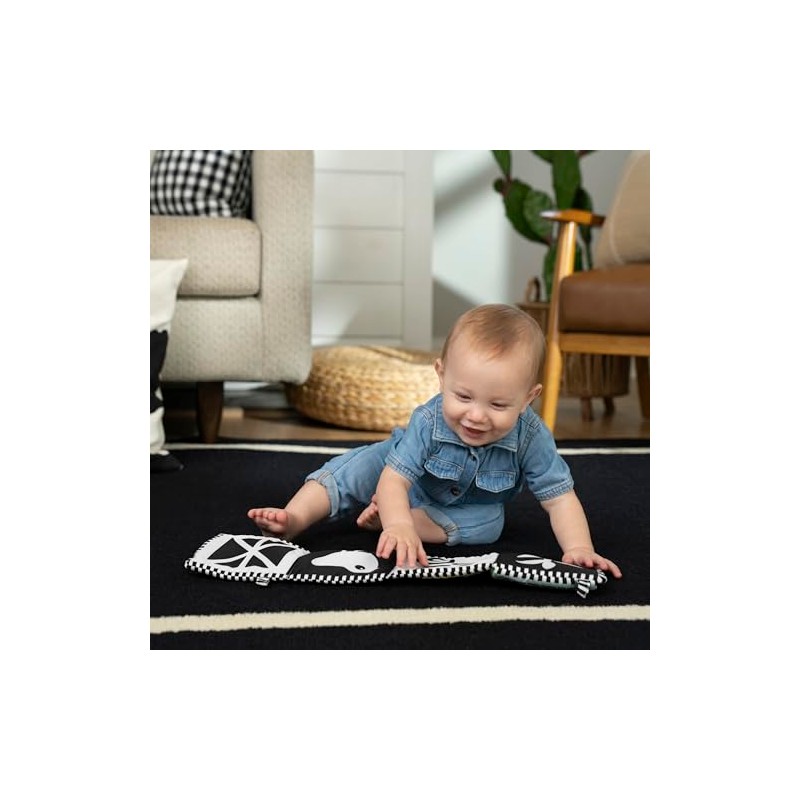 Baby Einstein Baby Einstein Farm Explorers Counting at The Farm