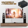 Parishop Digital to Analog Audio Converter Digital to Analog Audio