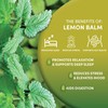 Worldwide Botanicals Organic Lemon Balm Tea, 25 Tea Bags -