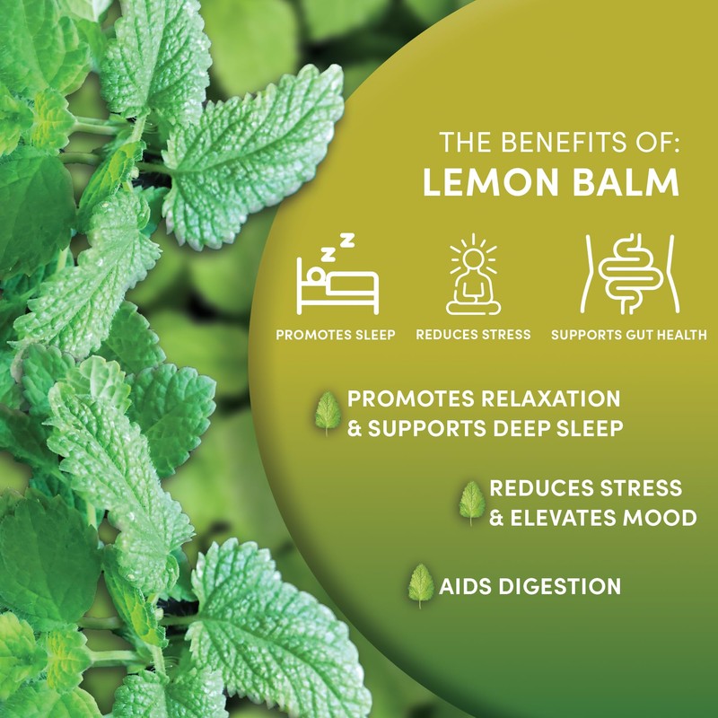 Worldwide Botanicals Organic Lemon Balm Tea, 25 Tea Bags -
