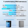 6V 4.5Ah LiFePO4 Battery 2 Pack, Intelligent BMS Rechargeable Lithium