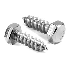 1/4" x 1" Hex Head Lag Screws Bolts 20Pcs 304 Stainless Steel 18-8, Partial Thread, Hexagon Head Wood Screws by SG TZH