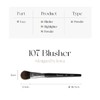 PICASSO 107 Blusher Brush 1ea