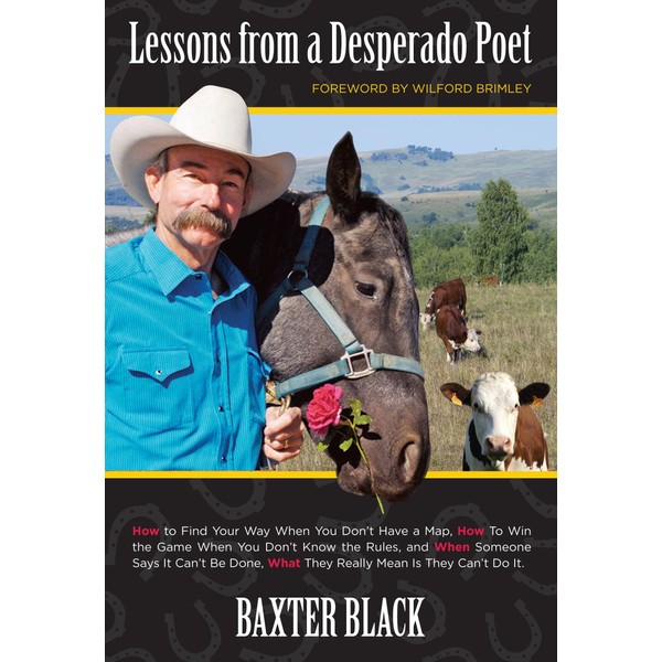 Lessons from a Desperado Poet