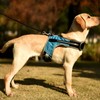 Dog Harness with LED Light Adjustable Comfortable Relieve Neck Pressure